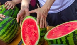 今日吃瓜网,揭秘娱乐圈最新热点事件，带你领略明星幕后故事